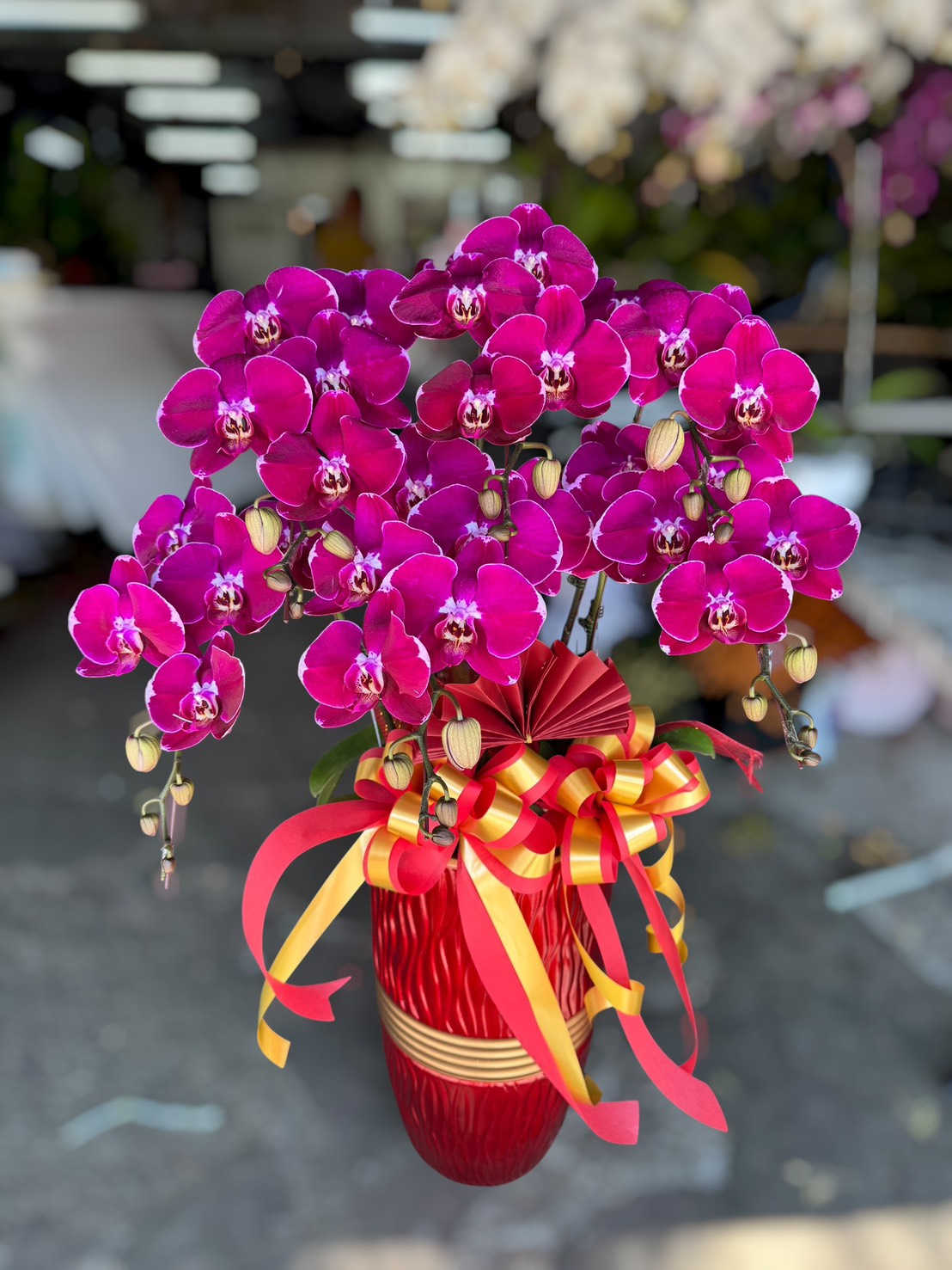 祝賀蘭花3000