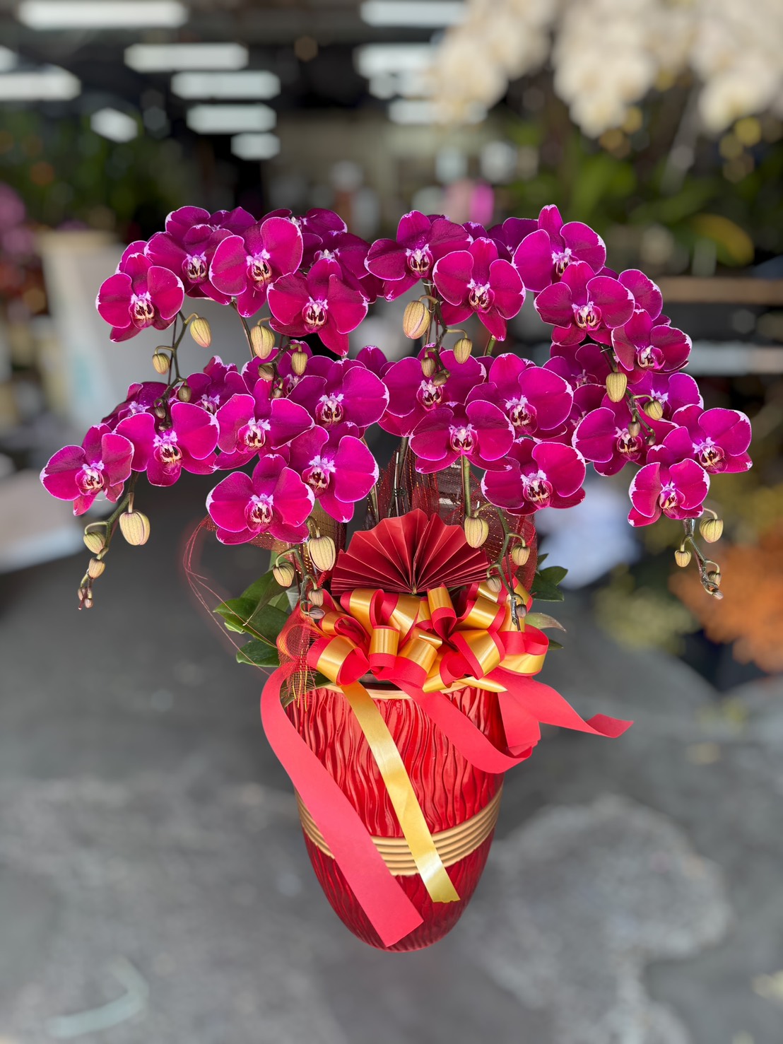 祝賀蘭花4000