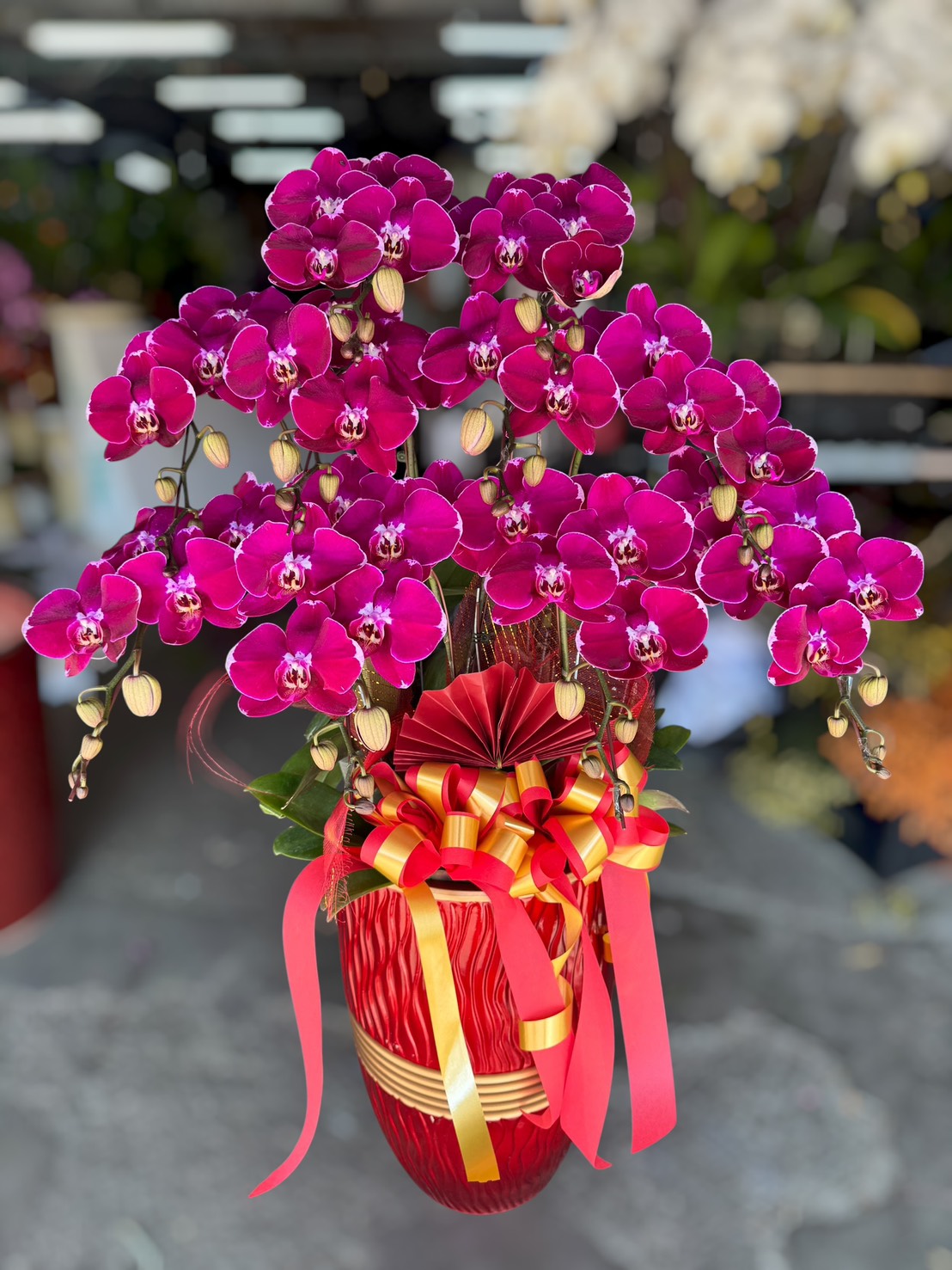 祝賀蘭花5000